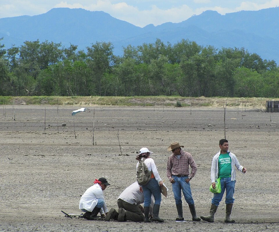 Archivo: estudiantes hondureños y de Oregon State University recolectan datos de carbono en un estanque camaronero de Honduras, 29 de julio de 2013. Contexto de acuicultura centroamericana; no muestra el taller de Panamá ni beneficiarios del nuevo plan.