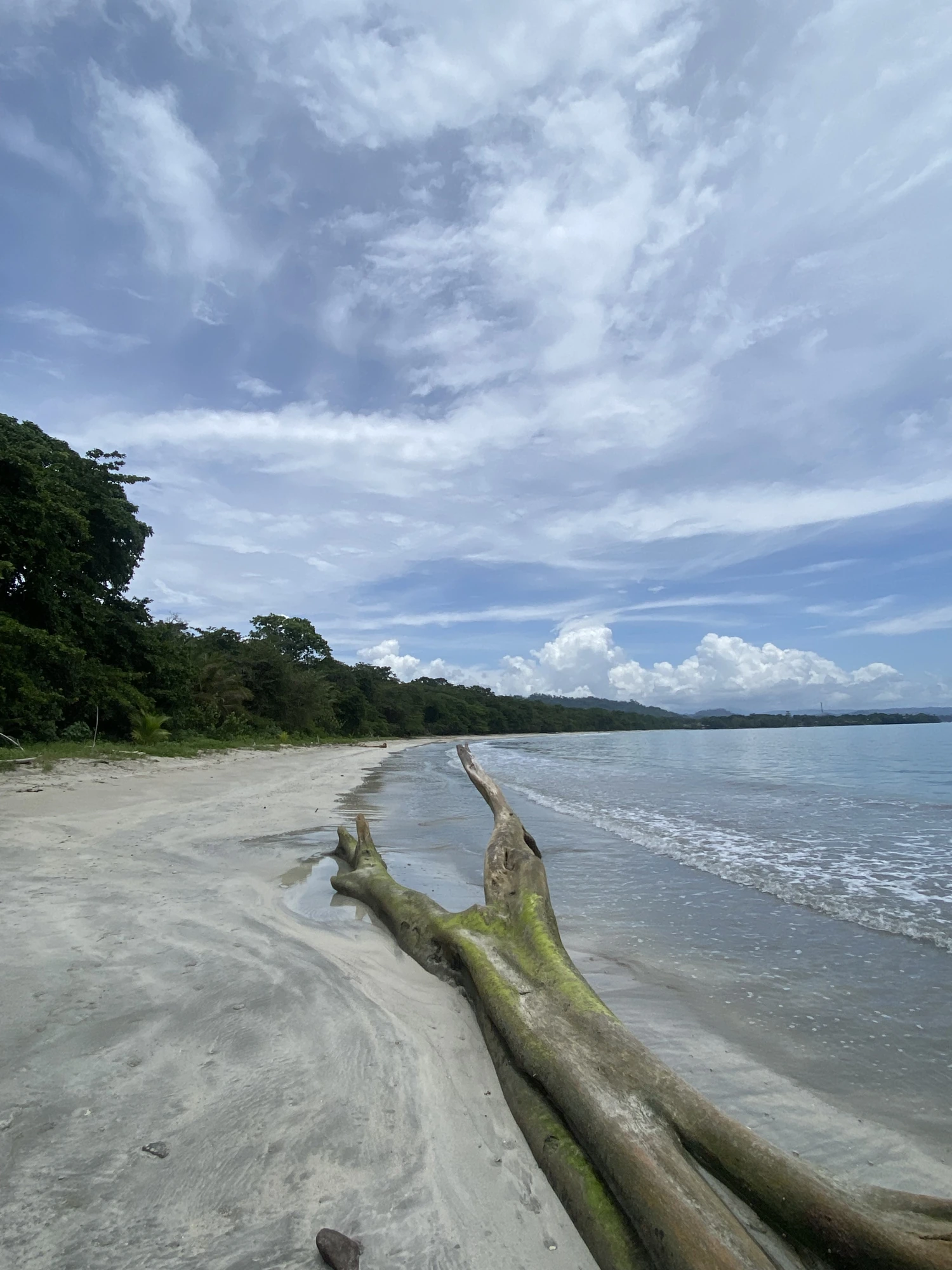 Imagen de contexto: playa del Parque Nacional Cahuita, 11 de agosto de 2023. No documenta una infracción ni un operativo de control.