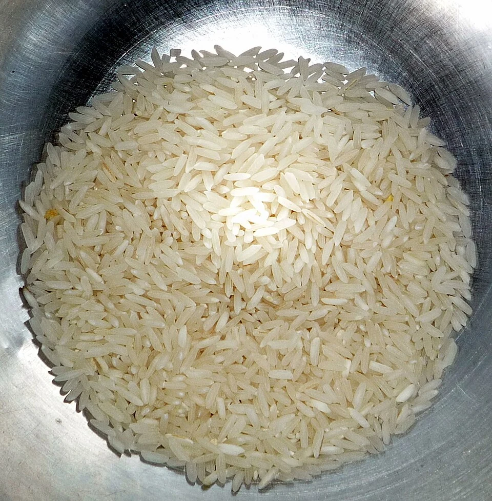 Archivo: granos de arroz de grano largo, fotografiados en abril de 2009. Contexto de un producto cuyo precio internacional analiza la FAO; no representa un precio local costarricense.